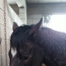 24시 셀프세차 이미지