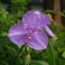 순천금당중학교 이미지