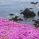 연꽃방죽체육공원 이미지