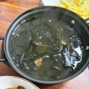 실내마차 | 대전탄방동맛집 이모네실내마차 내돈내산 후기