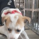 칠곡면사무소 이미지