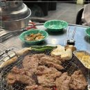 포차갈매기 이미지