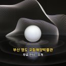 보나장신구박물관(휴관) | 부산 영도 국립해양박물관 무료 전시 조개 인형극 큐레이터 예약 방법