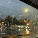 양재시민의숲 역 1번 출구 | [양재맛집]리틀올리브_양재천 와인바 추천 데이트하기 좋은 양식 분위기 맛집 내돈내산 후기