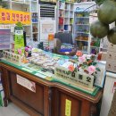 진해일등약국 이미지