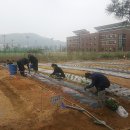 인식농장 이미지