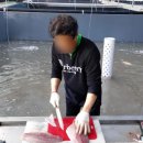 엠제이수산