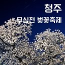 무심천마트 | 청주 무심천 벚꽃축제 다녀오다! 푸드트럭 종류 궁금하다면? 주차 꿀팁까지!