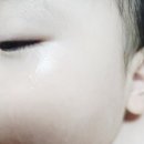 새싹어린이집 | 아토피 아기피부 로션 추천, 밀리맘 새싹 아토크림 후기