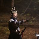 뿌리깊은나무 이미지