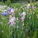 한누리농장 이미지