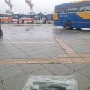 솔돌마을 | 25.5월 강릉 뚜벅이여행 / 강릉숙소 추천 언제나소돌 후기