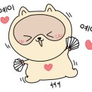 홈마트 정육 네이버블로그