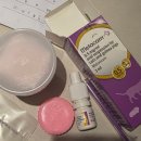 광명시티동물병원 | 고양이 대퇴골두 제거술 FHNO 후기, 치료경과, 비용, 병원 추천👍 광명 하안동 &lt;바른걸음외과동물병원&gt;