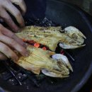 연탄노가리 이미지