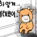 명륜진사갈비 경남고성점 이미지