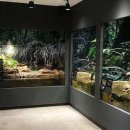 은산시장 이미지