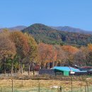 모악산도립공원 Daum카페
