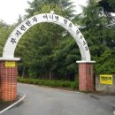 밀양동강중학교 이미지