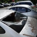 화분인간 이미지