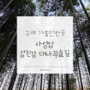숲으로 | 구례 가볼만한 곳 | 사성암, 섬진강 대나무숲길 후기 | 여행 코스 추천