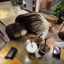 용인대 성곡유도관 이미지