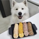 댕댕쿠킹 중앙일보