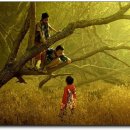 맑은아이 이미지