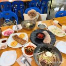 애견마을 | 남한산성 애견동반 계곡 식당, 바위마을막국수 막국수 세트 후기