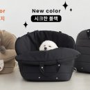 보호리카 네이버블로그