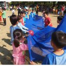 대지초등학교 이미지