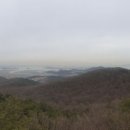 곳고 Daum카페