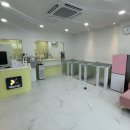 그루밍루나 네이버블로그