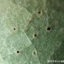 중국 도자기의 기포를 모방할 수 있습니까? 이미지