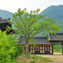 농암민박 이미지