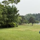 메리몽드 펫살롱 이미지