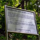 지례중학교구성분교장 이미지