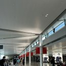 홍차우 | 🛫중국동방항공타고 이집트여행 후기 / 상하이 홍차우 - 푸동공항 환승 / 상하이 경유여행