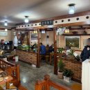 표충사 | 밀양 표충사 맛집 토담집ㅣ더덕구이정식 후기