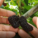 을해농장 이미지