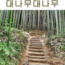 봉황꽃벵이