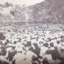 제주시절 이미지