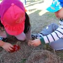 주환농장 이미지