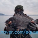 영등라인1 이미지