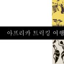 점프아프리카투어