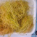 여물소농장 이미지