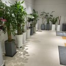 봉담정형외과의원 이미지