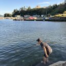 우두포마을회관 이미지