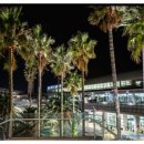 행복한 카 스토리 이미지