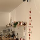 2984 | 안양 카페 <다르히서비스샵> 후기 | 헬로키티 마들렌에 한눈에 반했어요